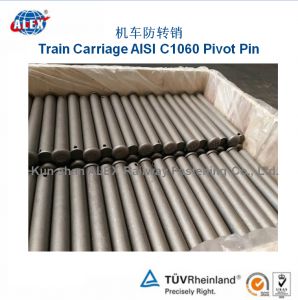 Pivot pin for Train carriage