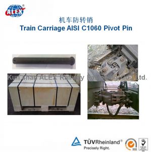 AISI C1060 Train Locomotive Plain oiled Pivot pin