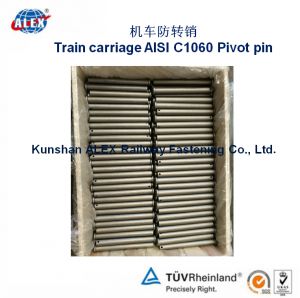 Train carriage AISI C1060 Plain oiled Pivot pin